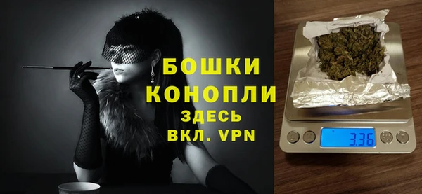 гашик Почеп