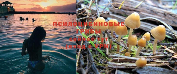 эйфоретик Тихвин