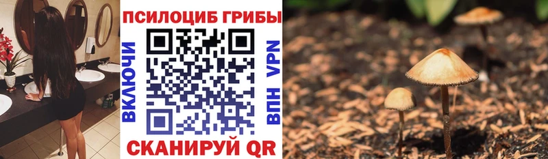 Галлюциногенные грибы Psilocybine cubensis  мориарти наркотические препараты  Южа  где купить наркоту 